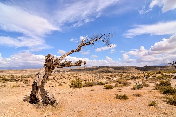 huis kopen arboleas almeria