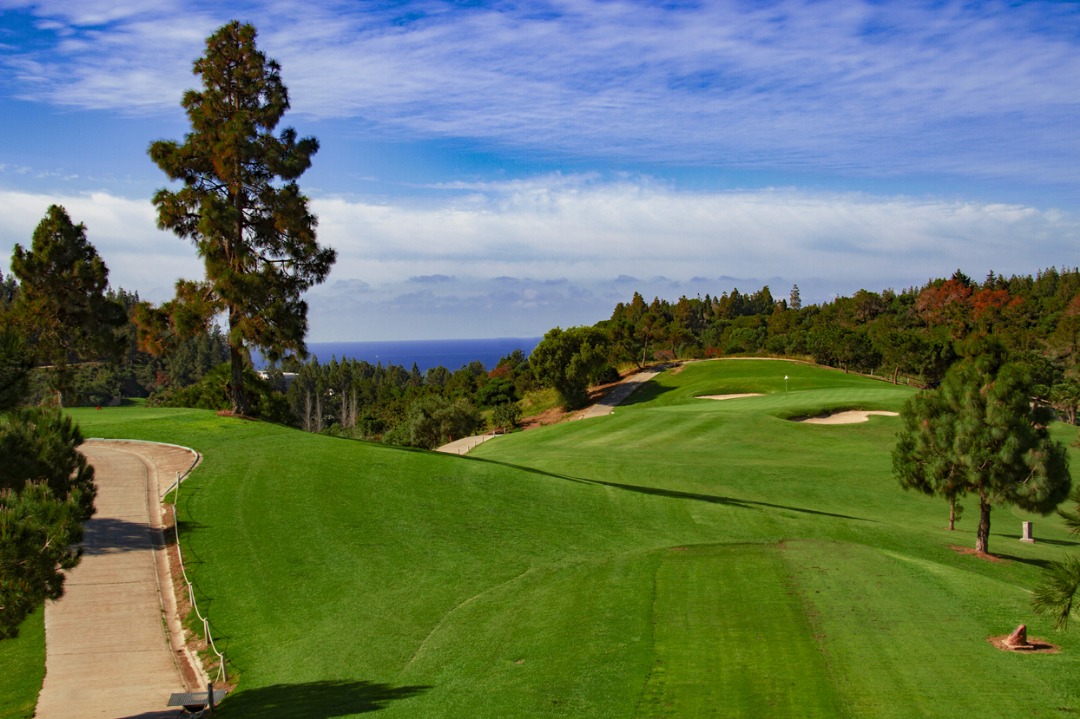 DP-100-51169953-01-8