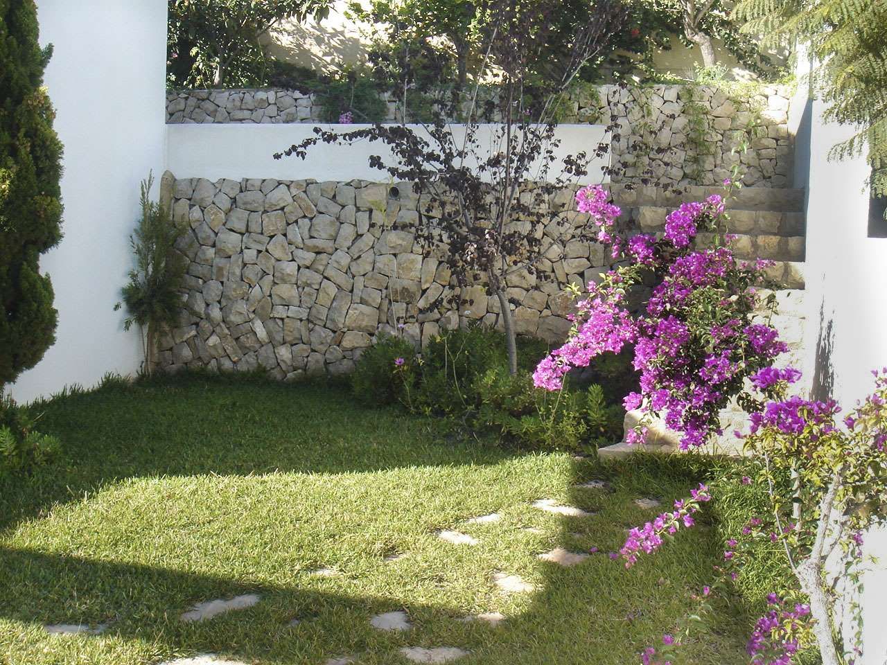 DP-36-2501-AN10244-14