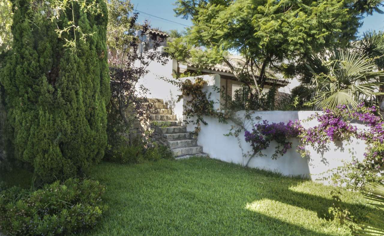 DP-36-2501-AN10244-15