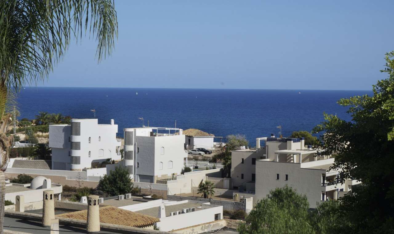 DP-36-2501-AN10244-7