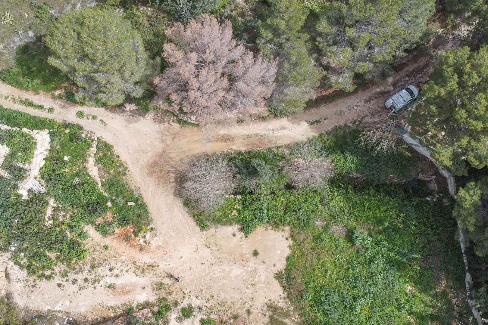 DP-40-C3XY4492JAV-13