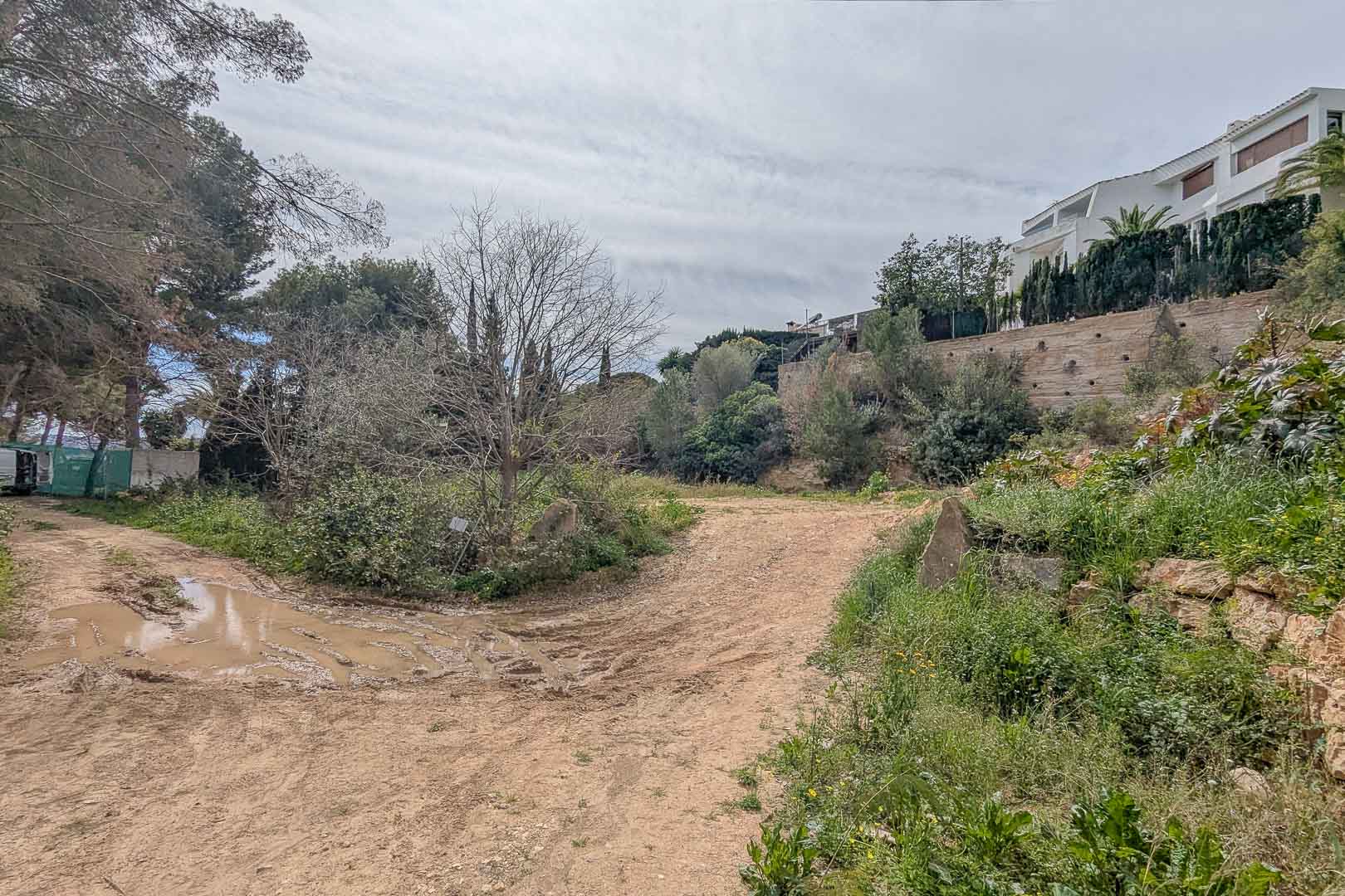 DP-40-C3XY4492JAV-15