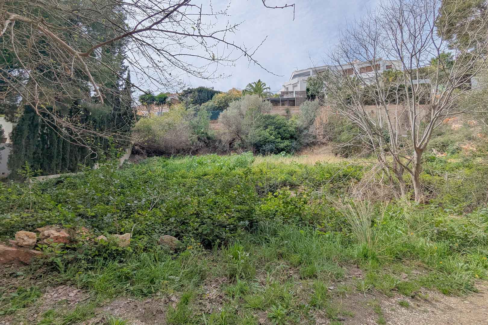 DP-40-C3XY4492JAV-18