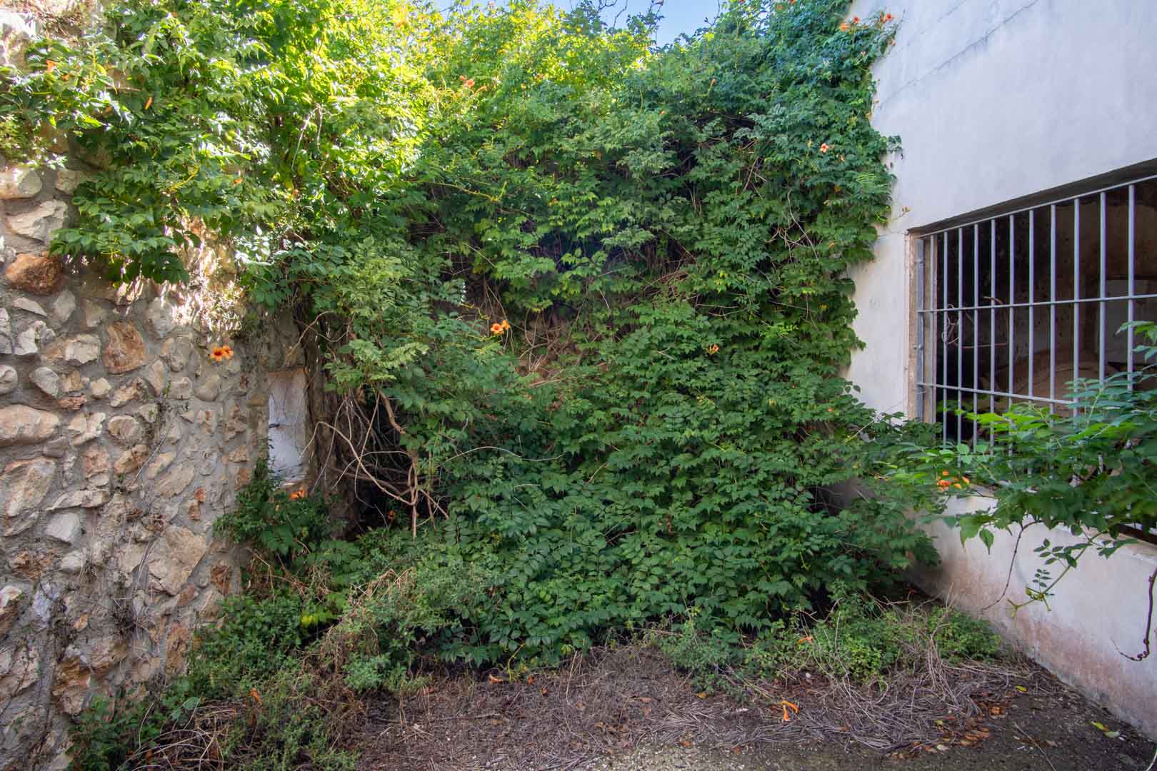 DP-40-C3XY8296DEN-16