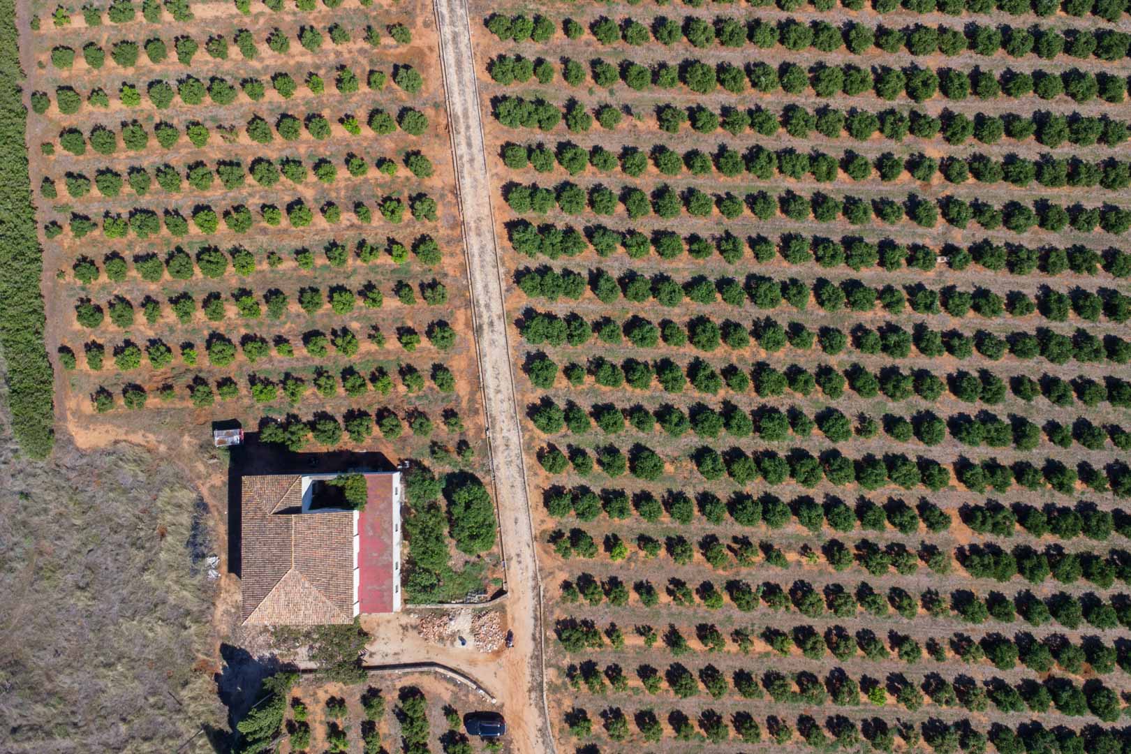 DP-40-C3XY8296DEN-21