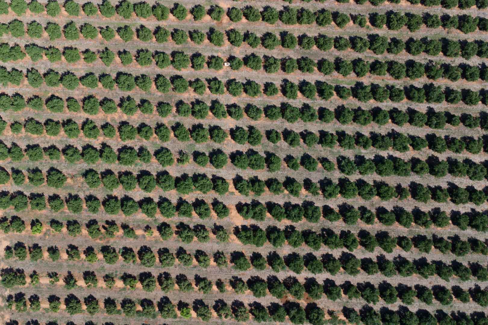 DP-40-C3XY8296DEN-22