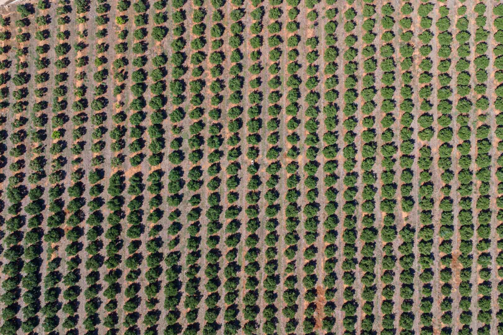 DP-40-C3XY8296DEN-23