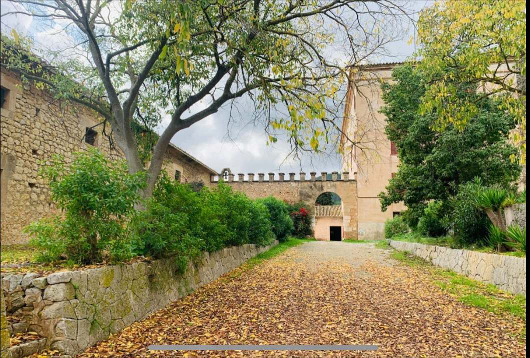 DP-64-rh-7024-propert-1