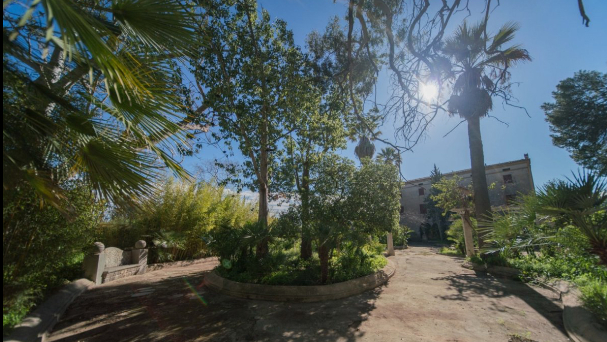 DP-64-rh-7024-propert-18