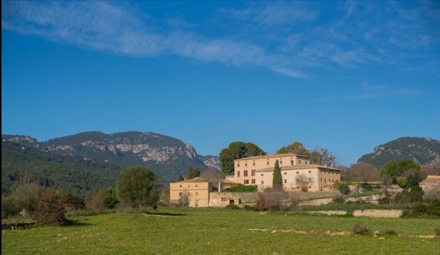 DP-64-rh-7024-propert-3