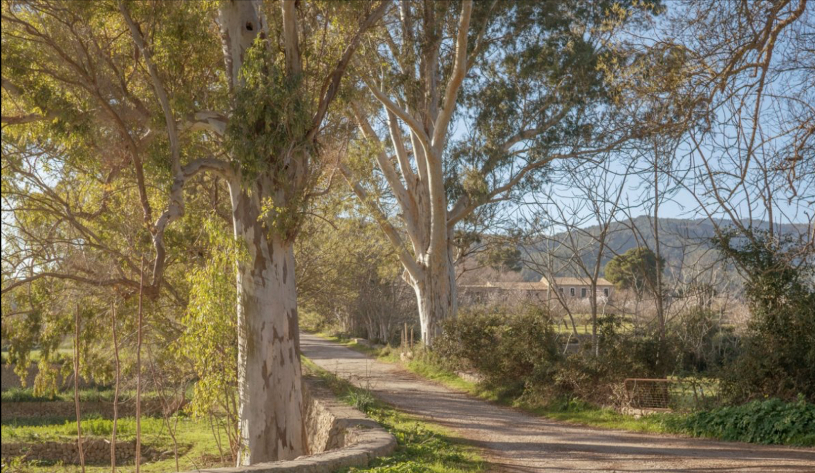 DP-64-rh-7024-propert-6