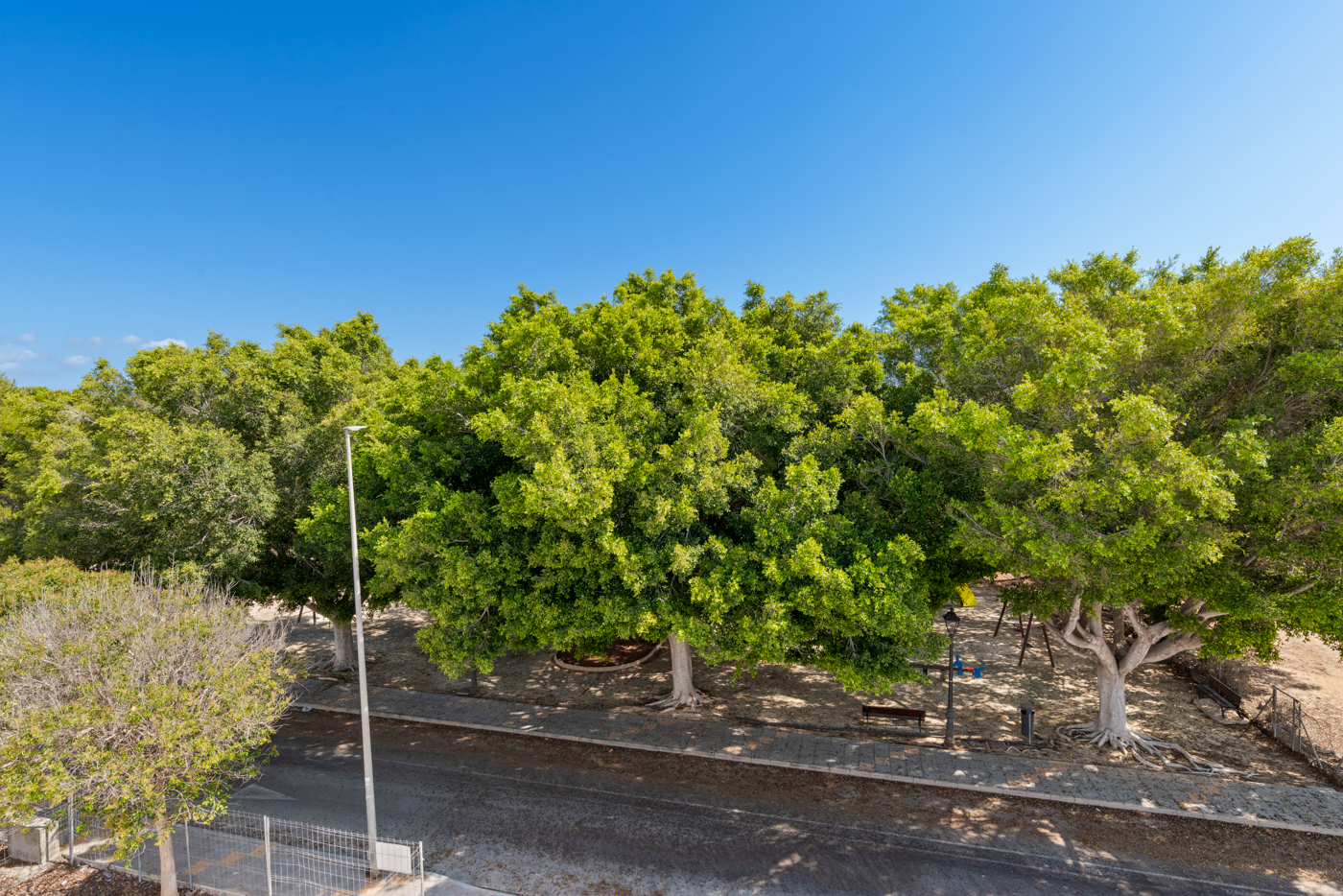 DP-100-63389860-01-20