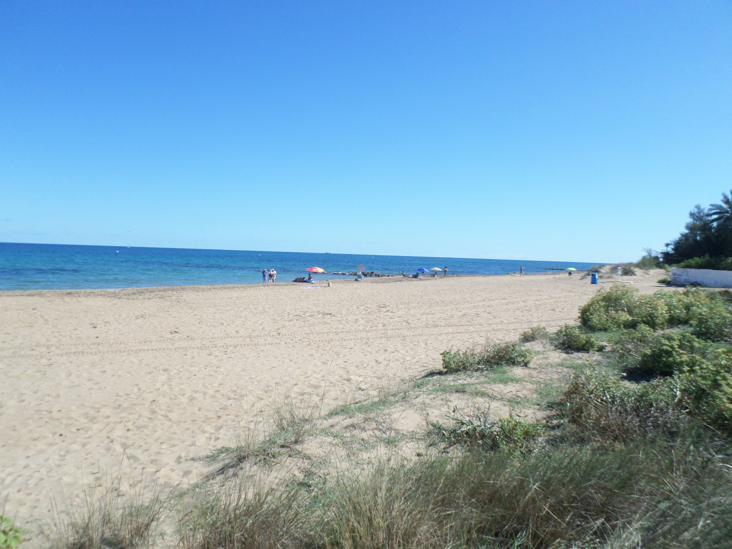 SAMSUNG CAMERA PICTURES