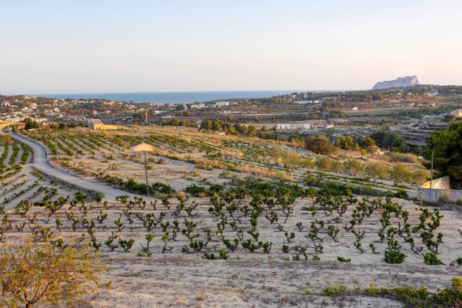 Finca for sale in Moraira