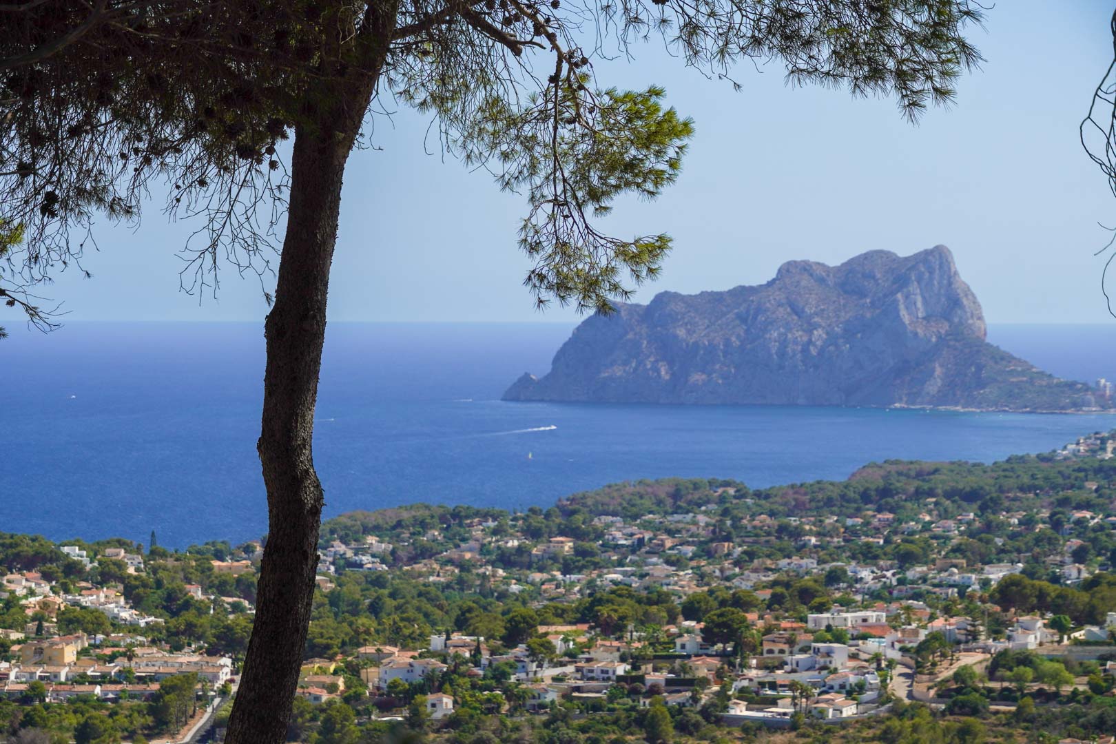 DP-40-C3XY9003BEN-10