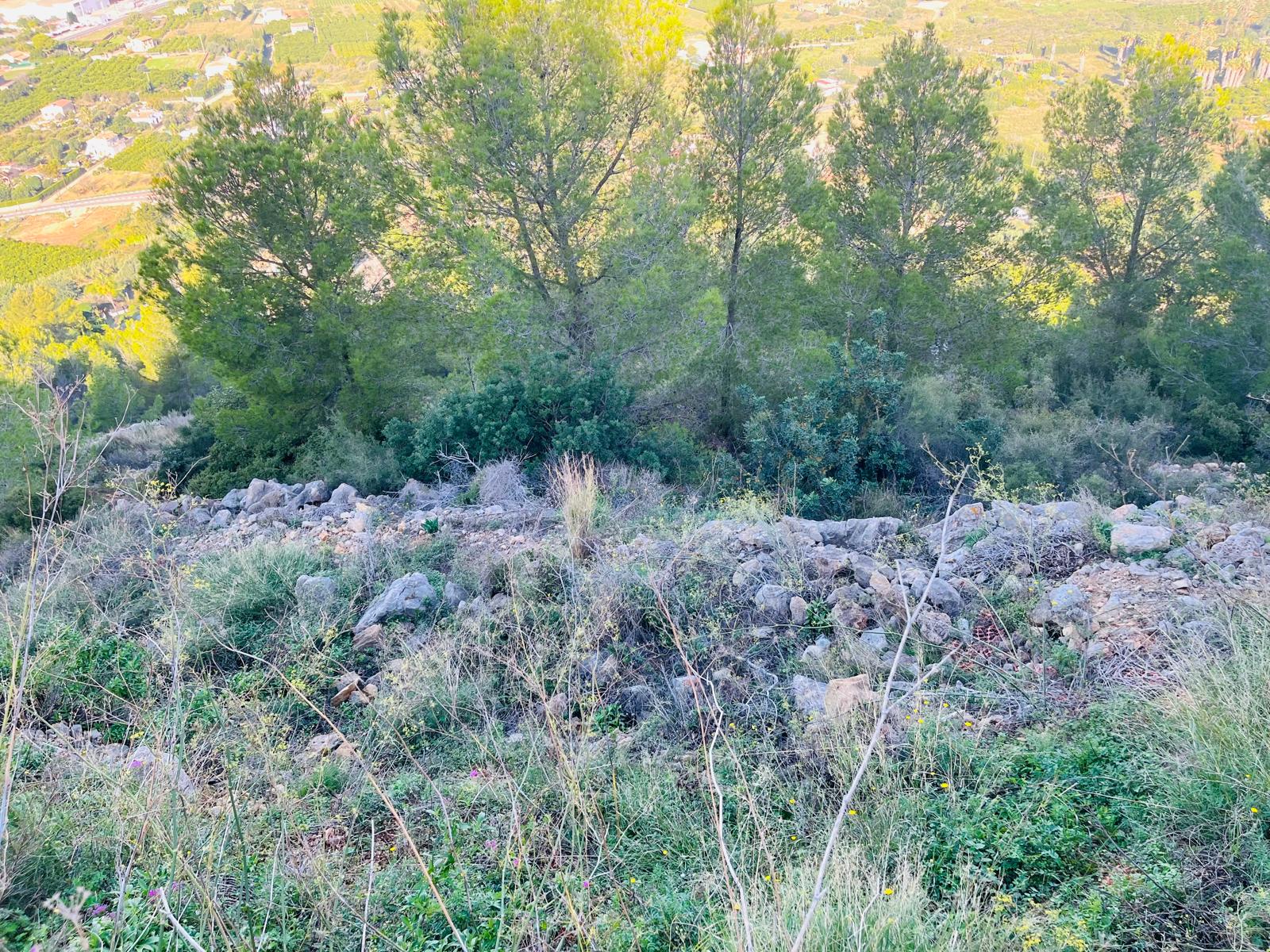 DP-77-ENJ-PL-00088-D-10