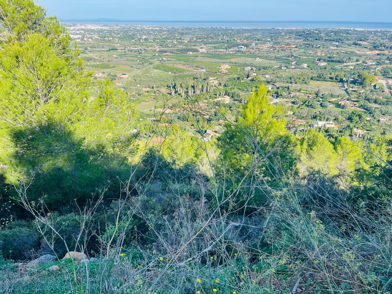 DP-77-ENJ-PL-00088-D-9