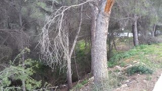 DP-77-ENJ-PL-00092-D-6