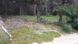 DP-77-ENJ-PL-00092-D-9