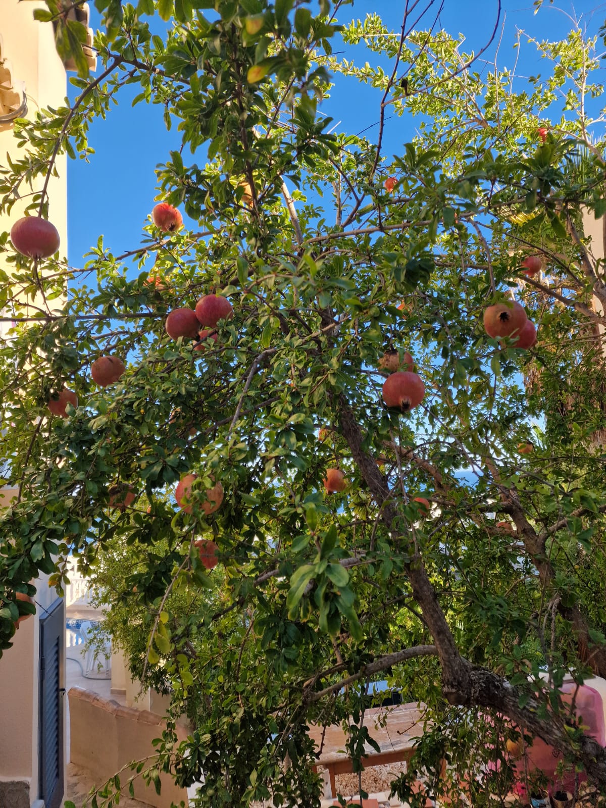 DP-77-ENJ-VI-00069-D-8