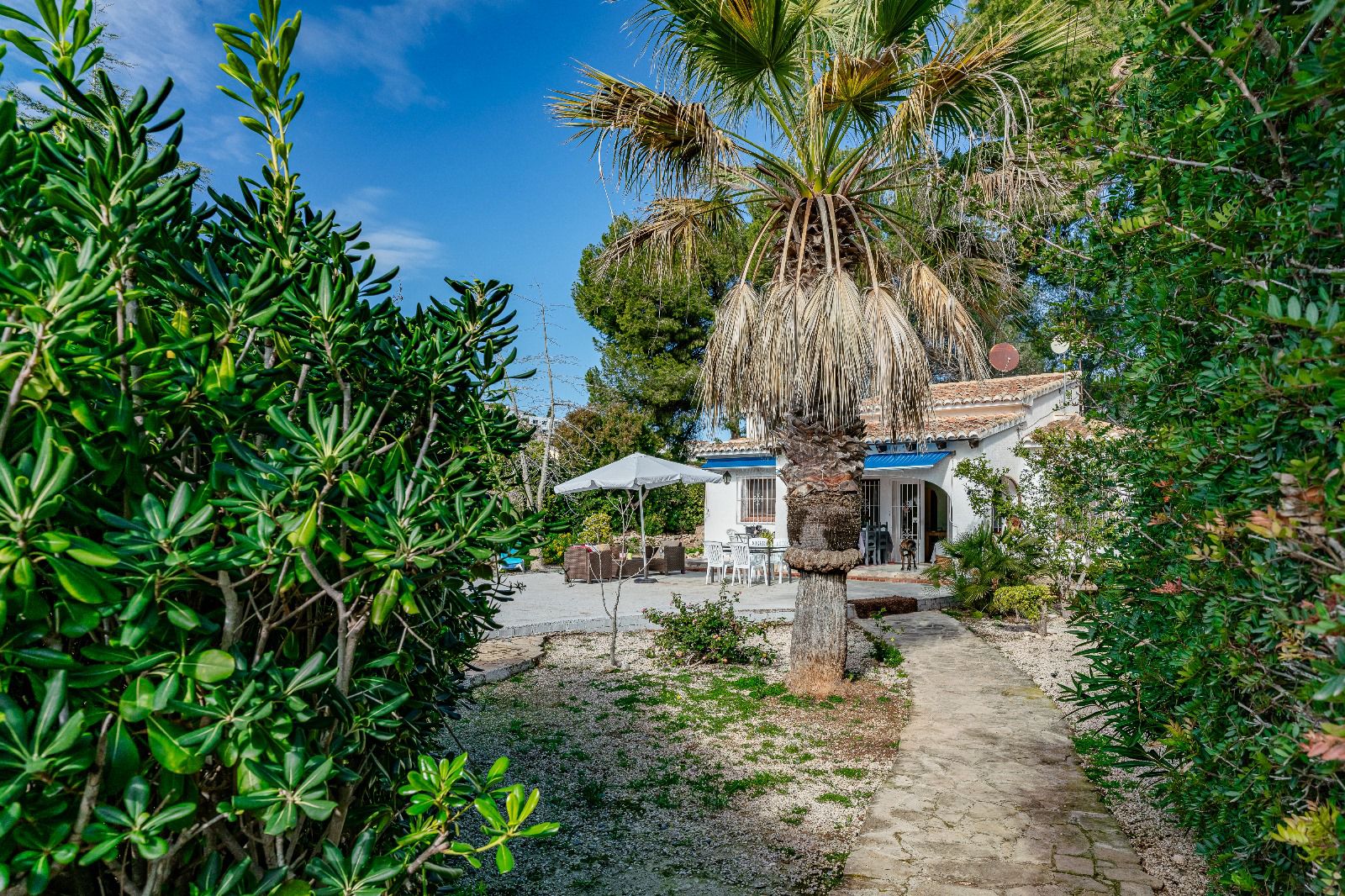 DP-77-ENJ-VI-00146-D-18