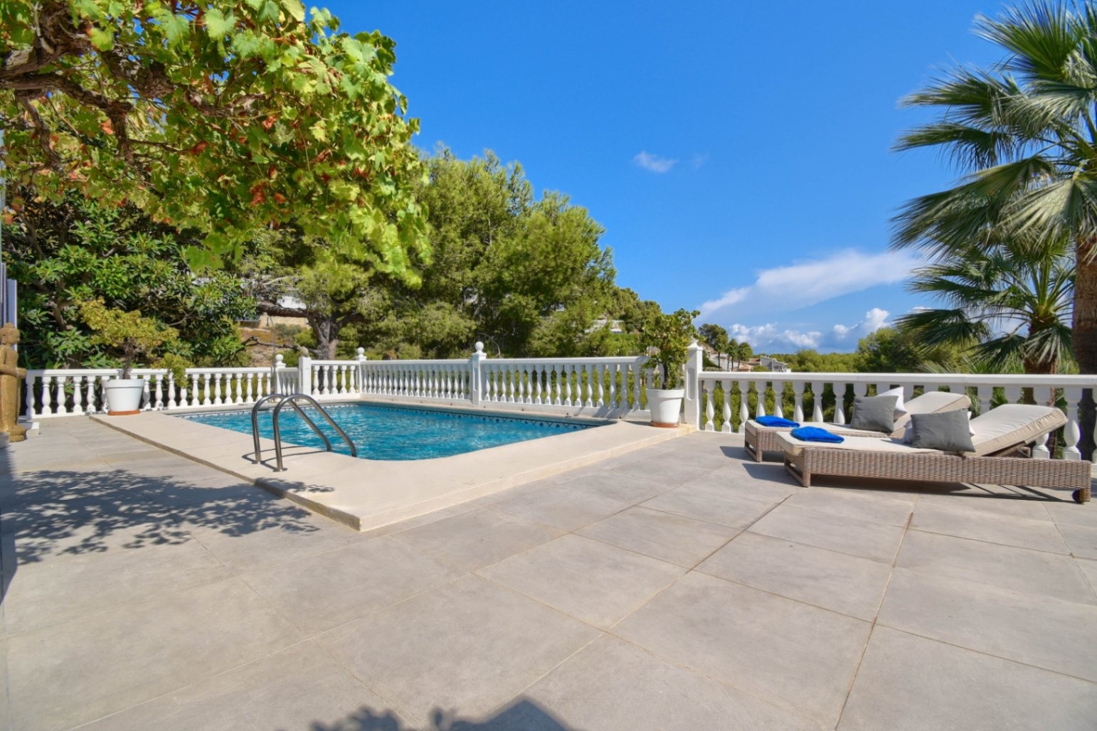 DP-77-ENJ-VI-00224-C-3