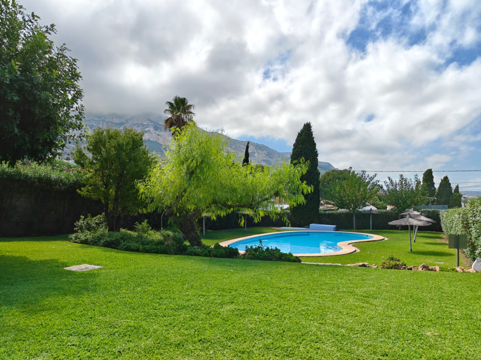 DP-02-ENJ-TH-00026-D-1