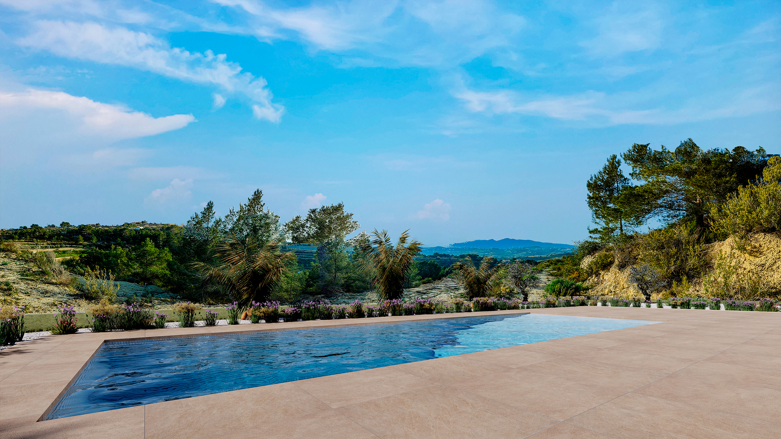 DP-02-ENJ-VI-00319-C-12