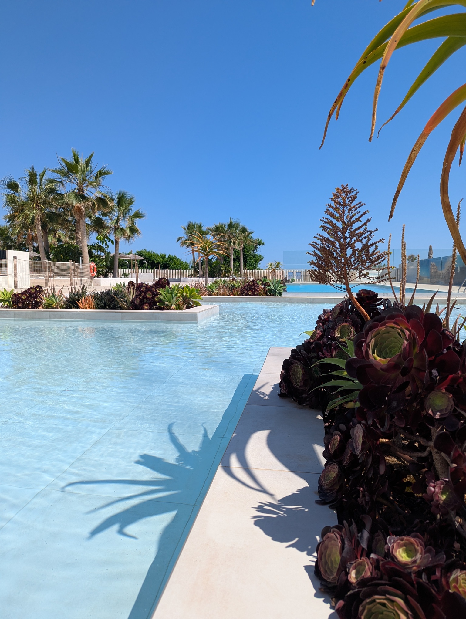 DP-100-14051638-01-1