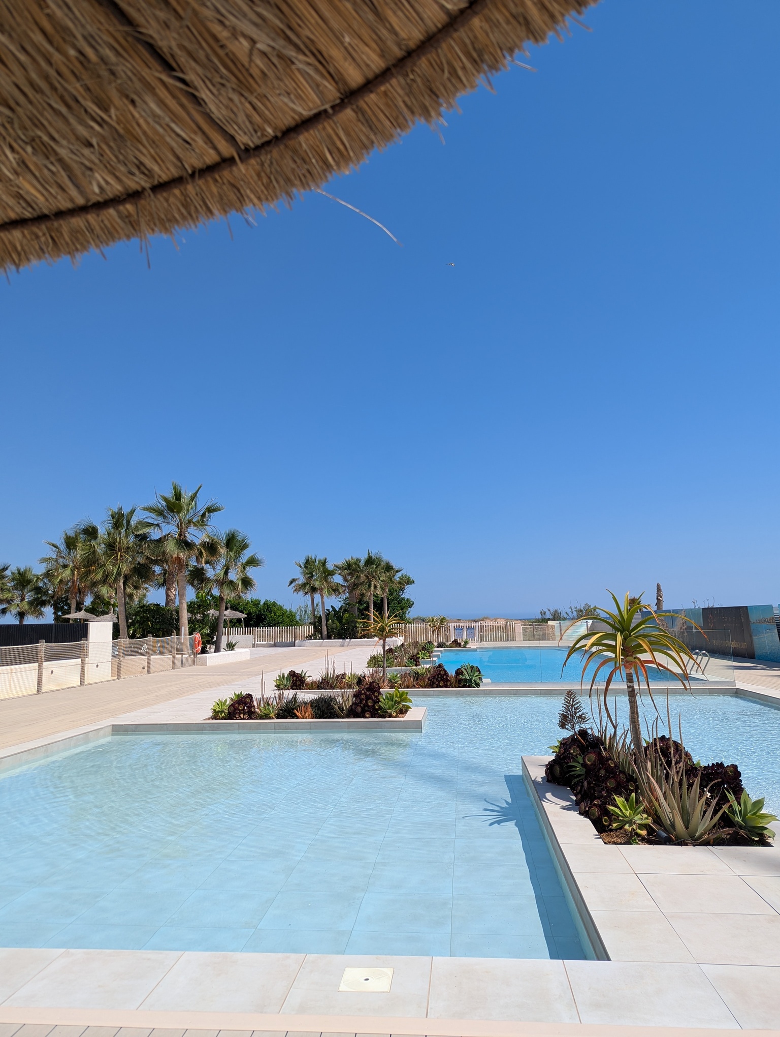 DP-100-14051638-01-19