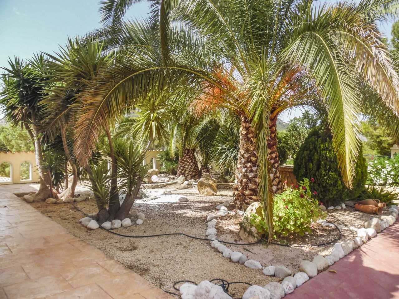 DP-36-3427-AK10244-5