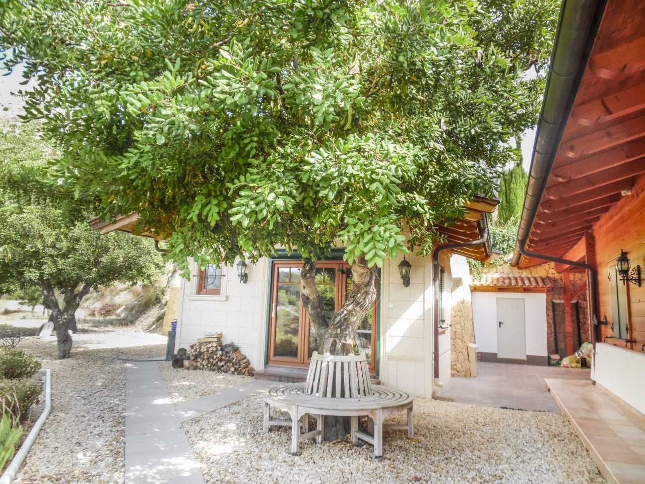 DP-36-3427-AK10244-9