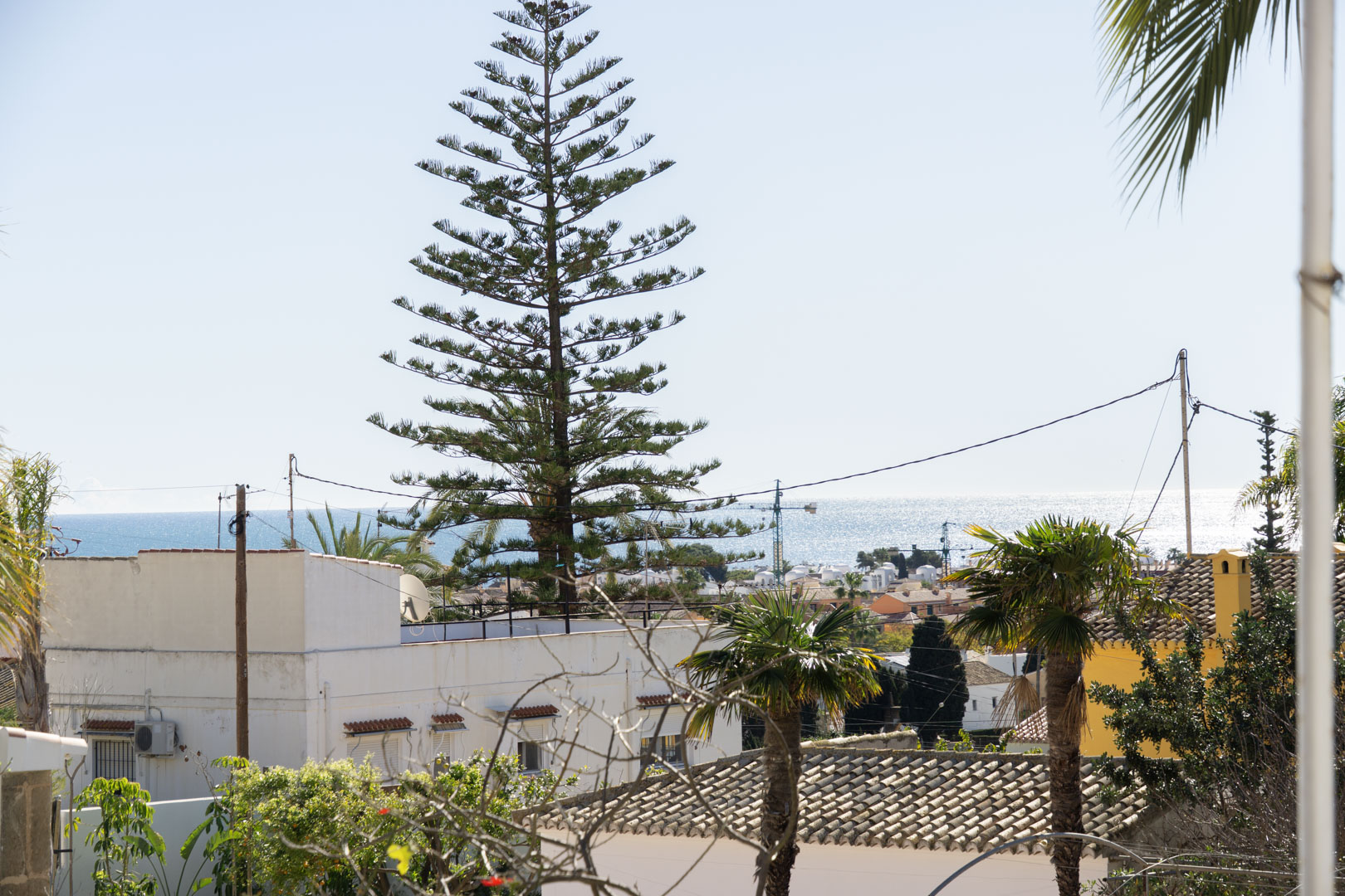 DP-40-C4XY8251JAV-13