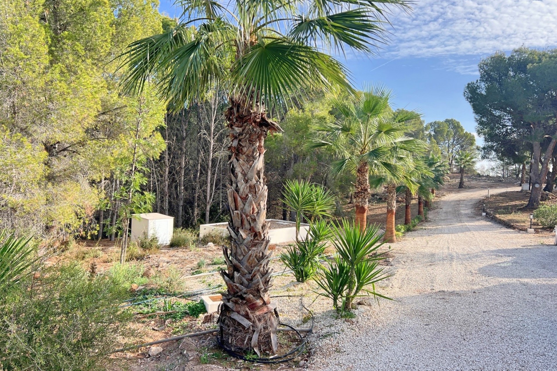 DP-02-ENJ-VI-00332-C-23