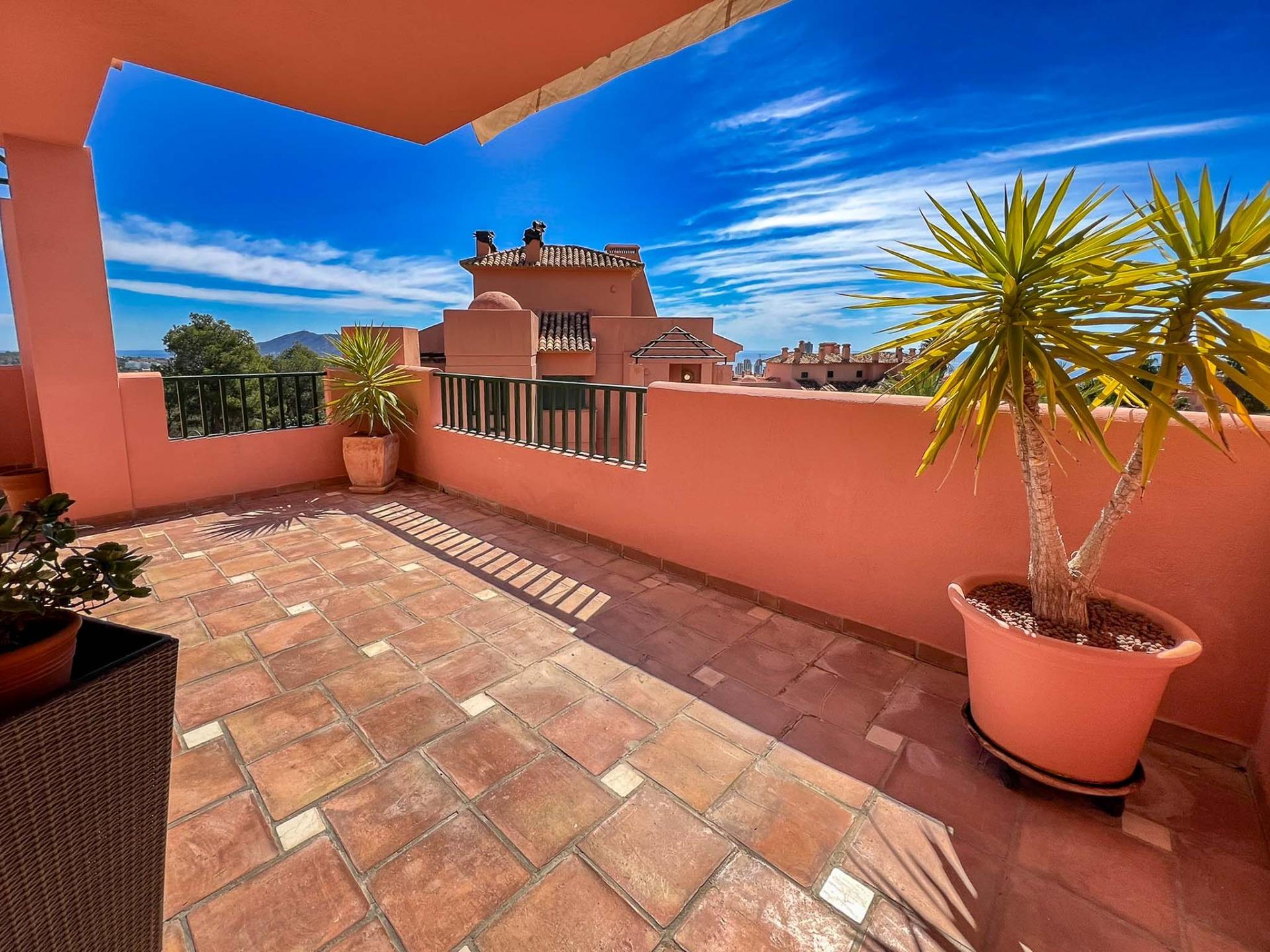 DP-36-AC-0566810244-3