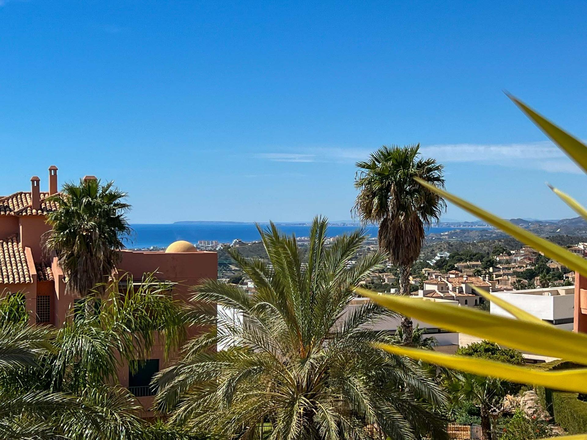 DP-36-AC-0566810244-8