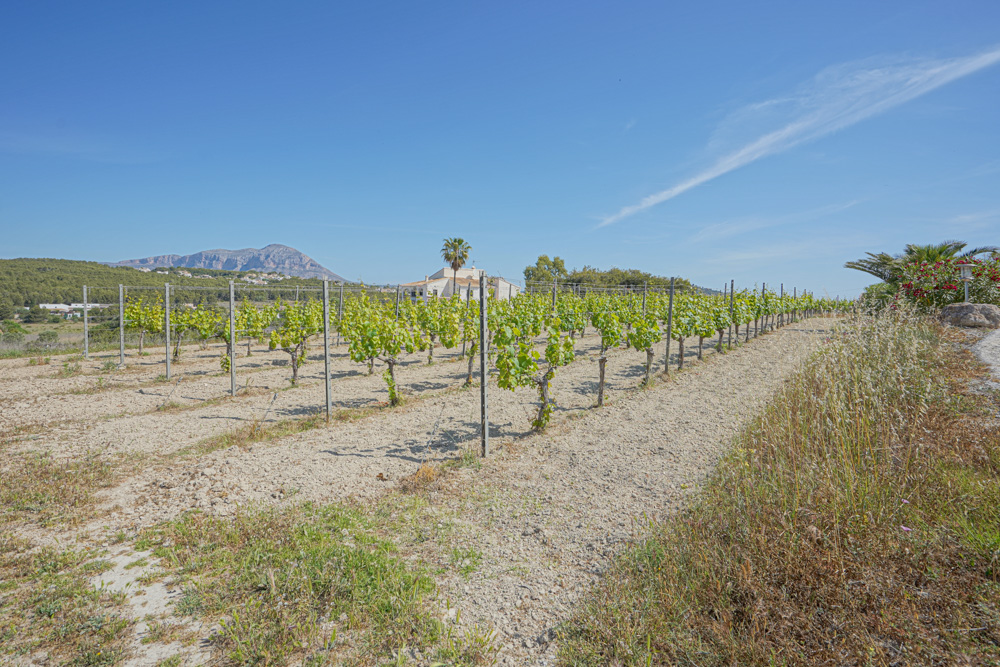 DP-40-C3XY4251BELL-9