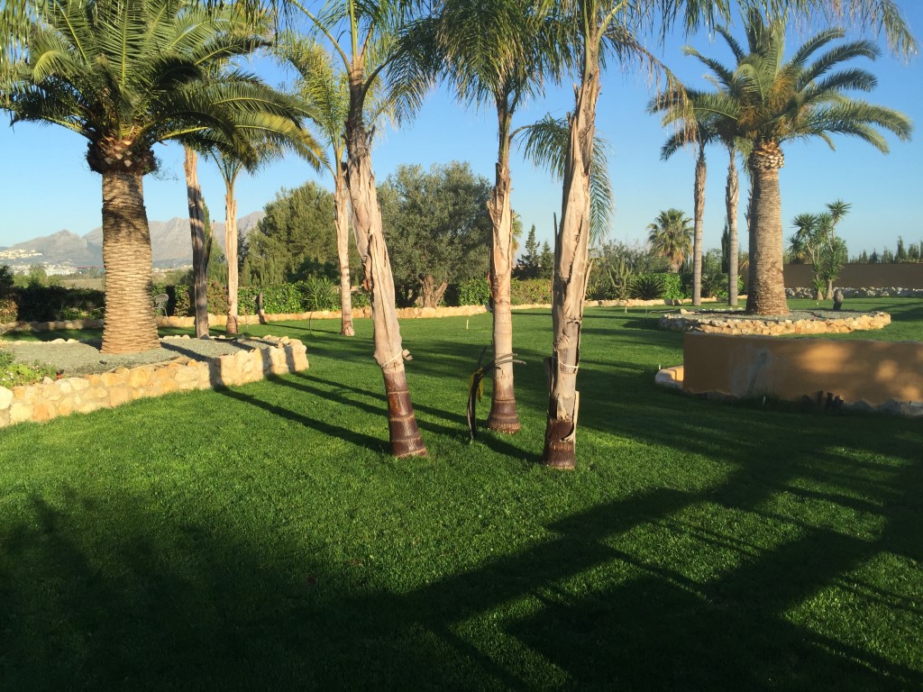 DP-40-C·XY3224PED-5