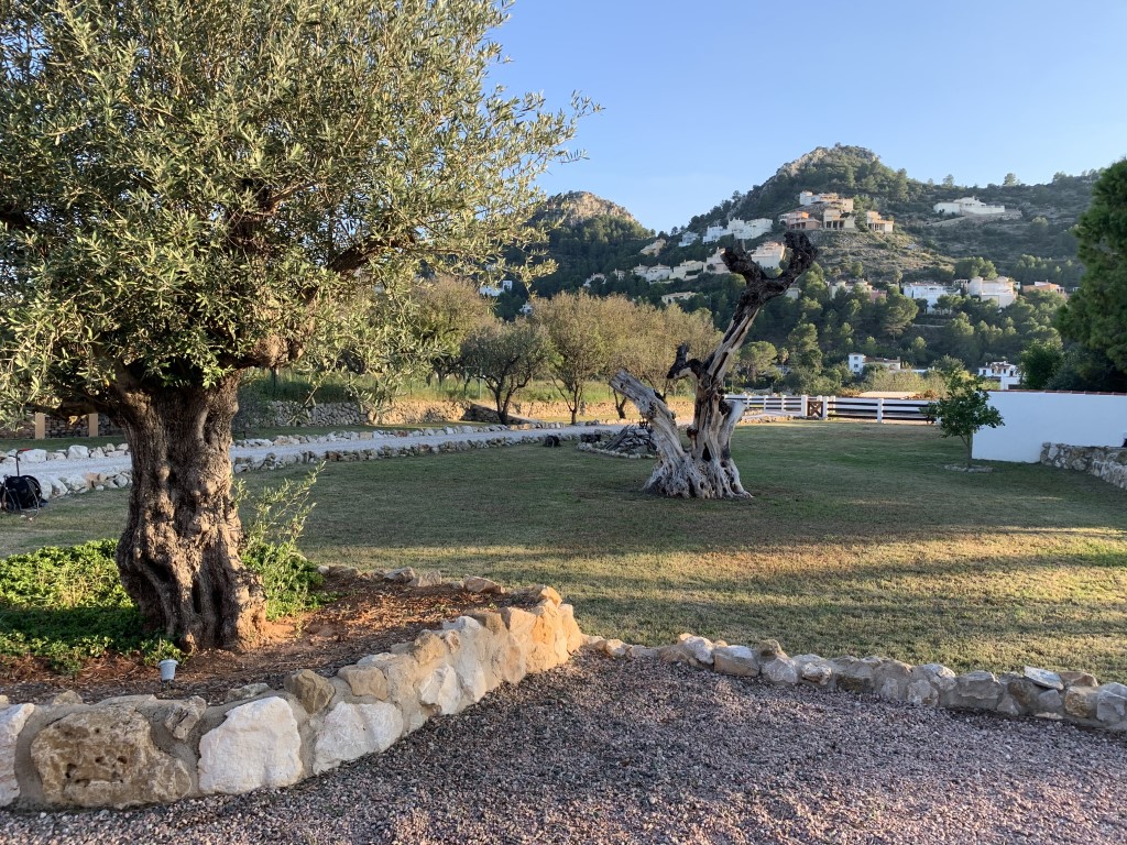 DP-40-C·XY3224PED-6