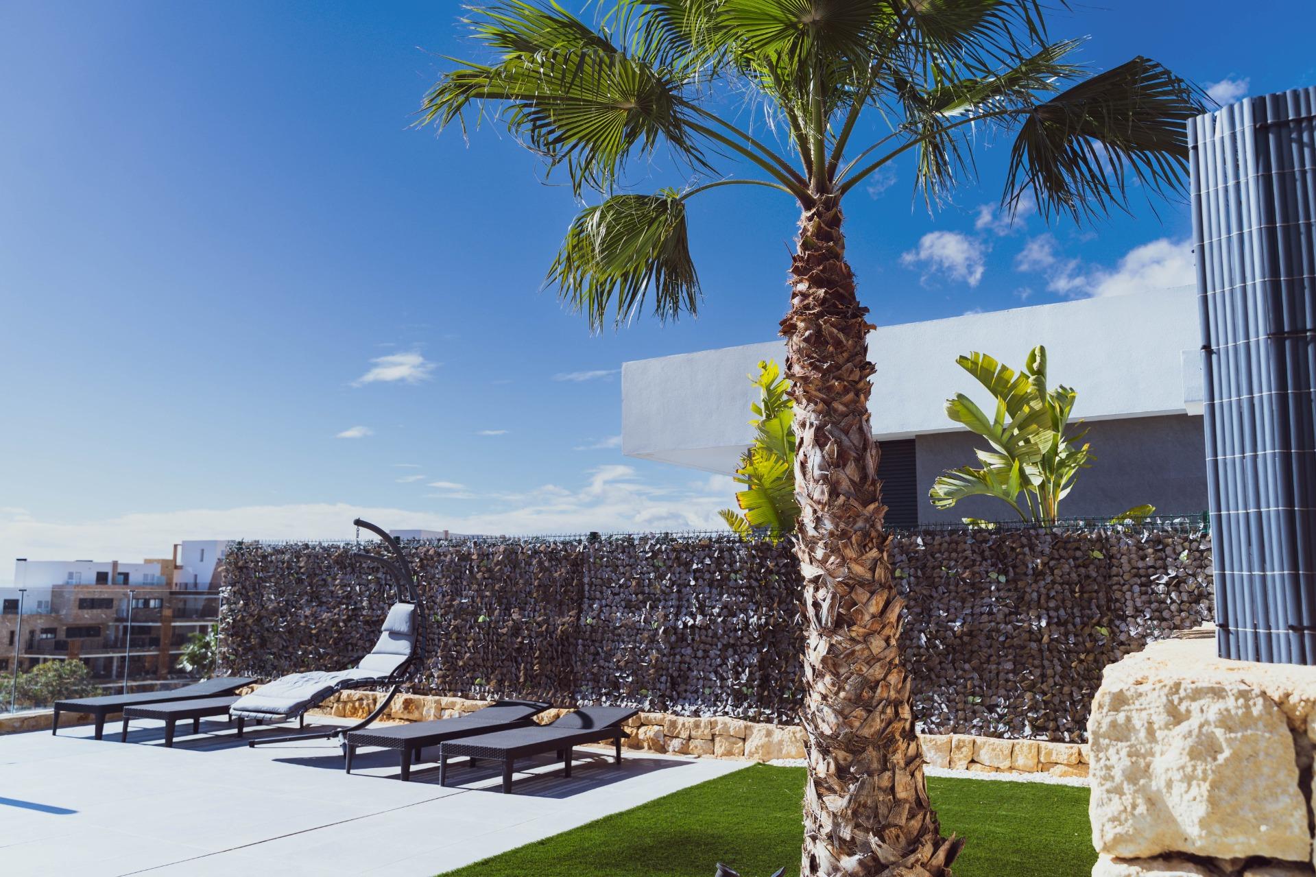 DP-36-AC-0589210244-7