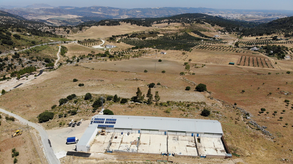 Land for sale in Ronda