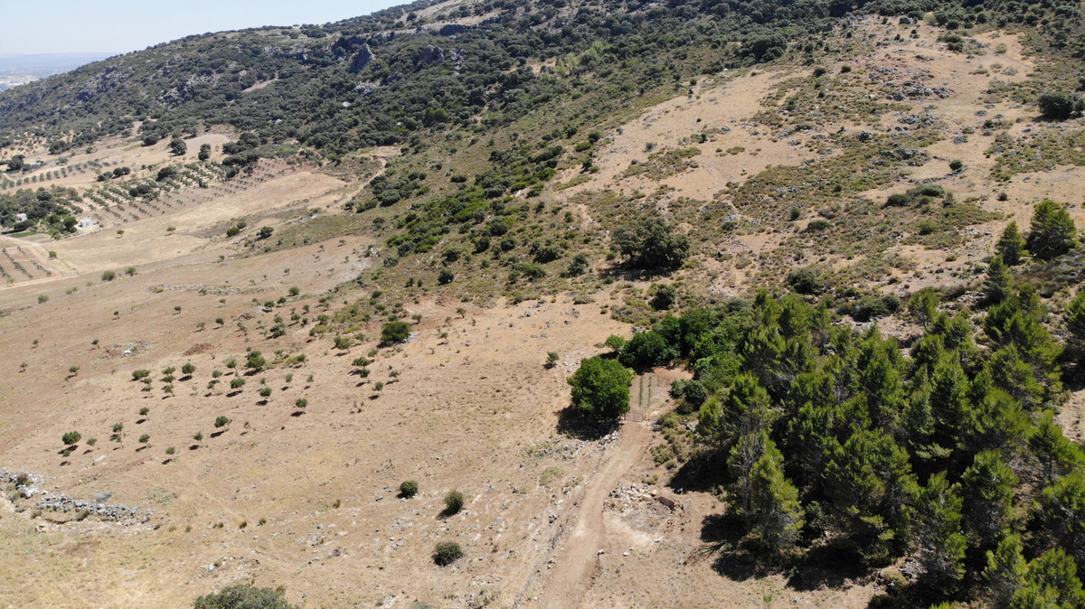 Land for sale in Ronda