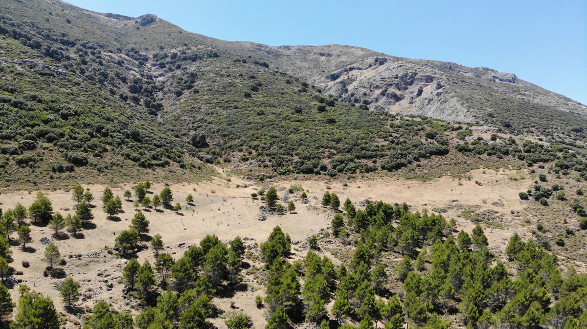 Land for sale in Ronda