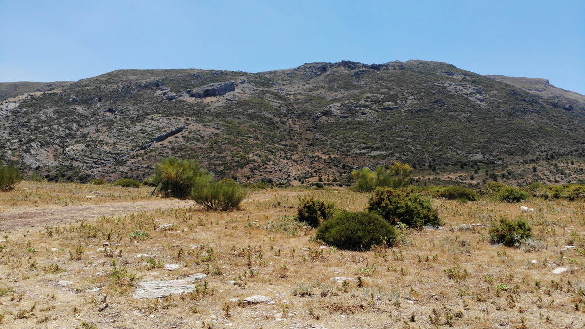 Land for sale in Ronda