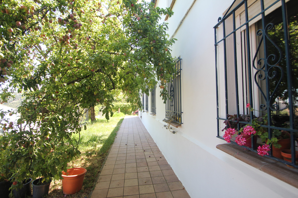 Land for sale in Ronda