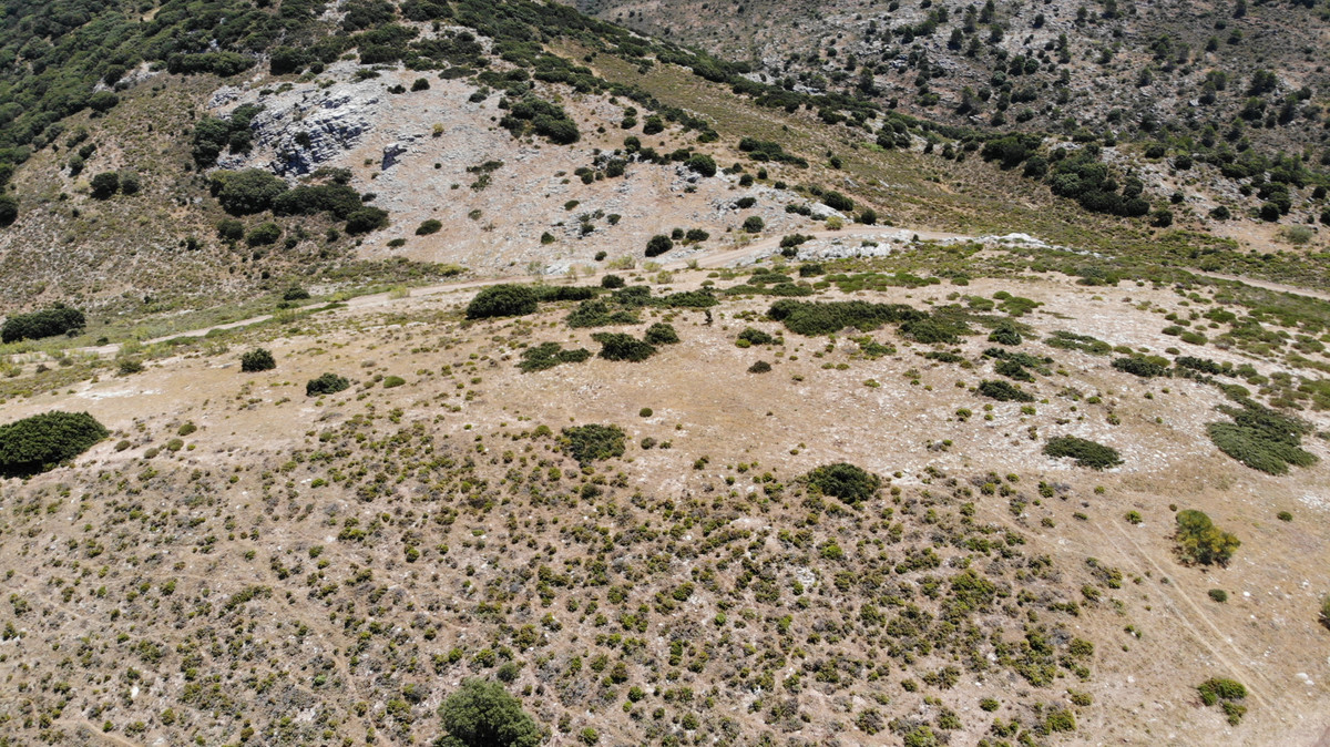 Land for sale in Ronda