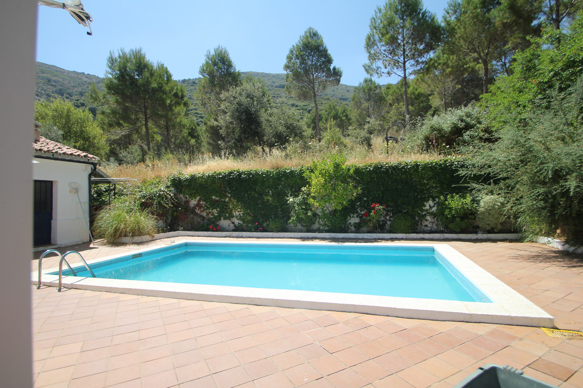 Land for sale in Ronda