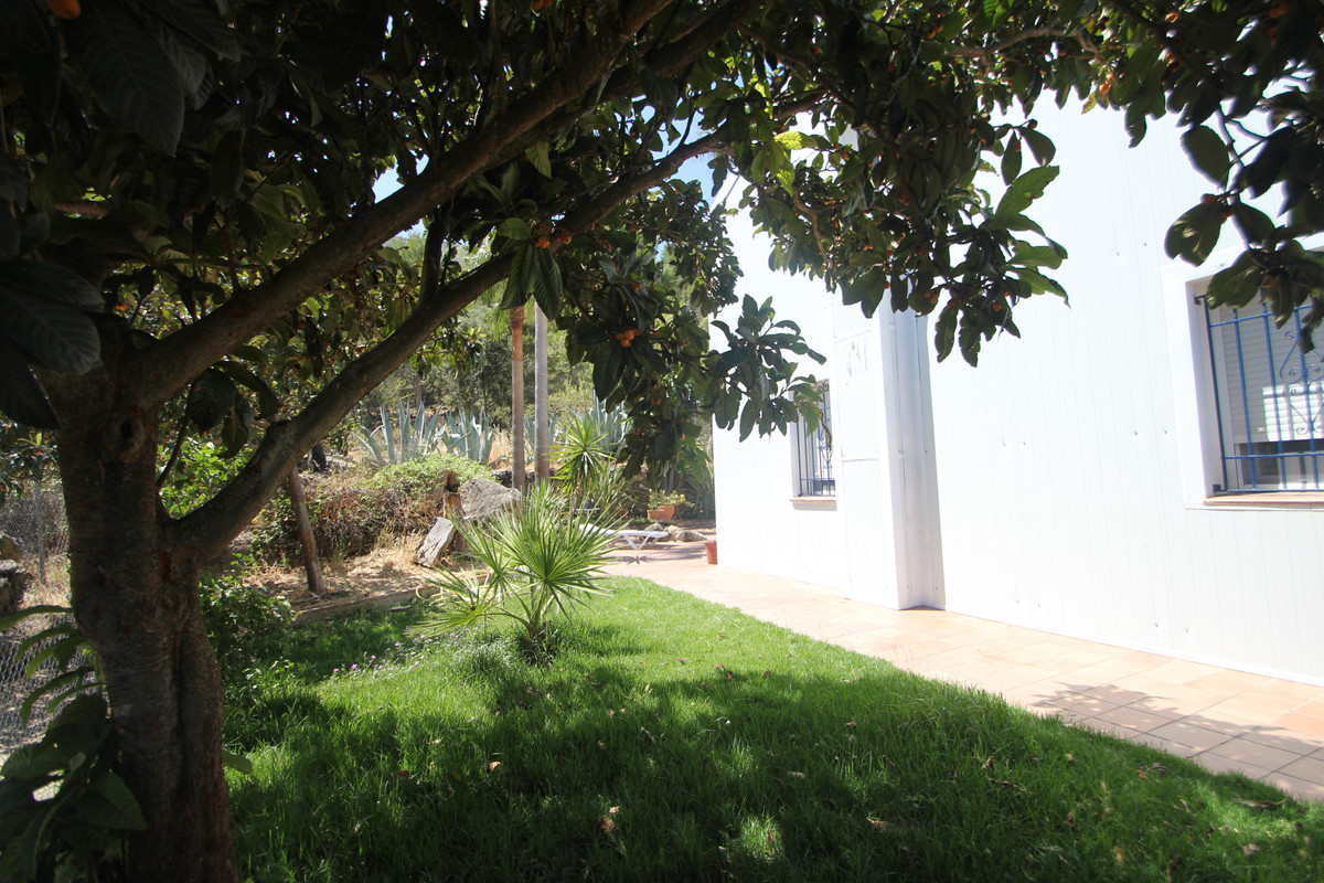 Land for sale in Ronda
