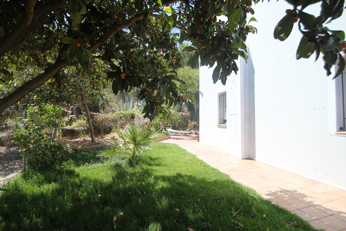 Land for sale in Ronda